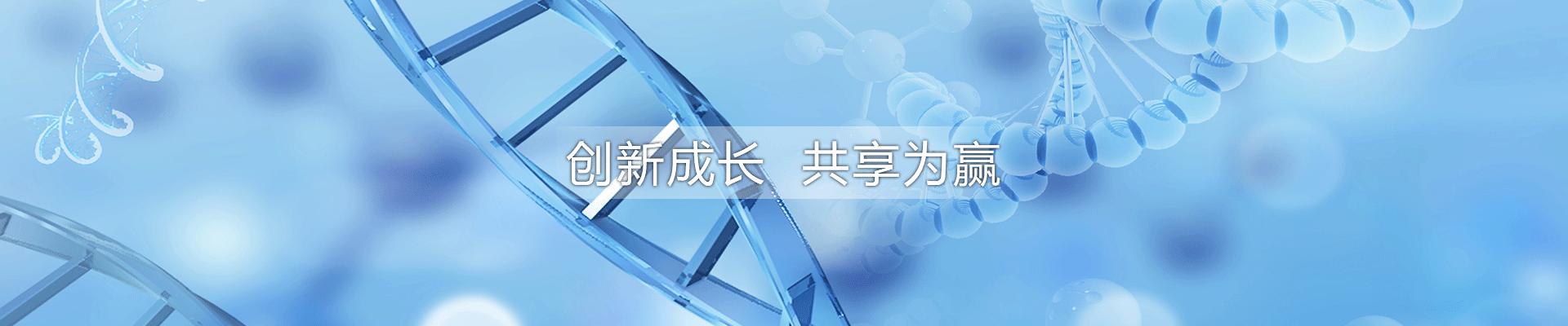 石家莊華旭藥業有限責任公司 石家莊華旭藥業有限責任公司