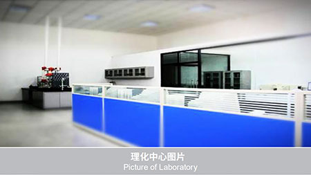 社会责任 社会责任
