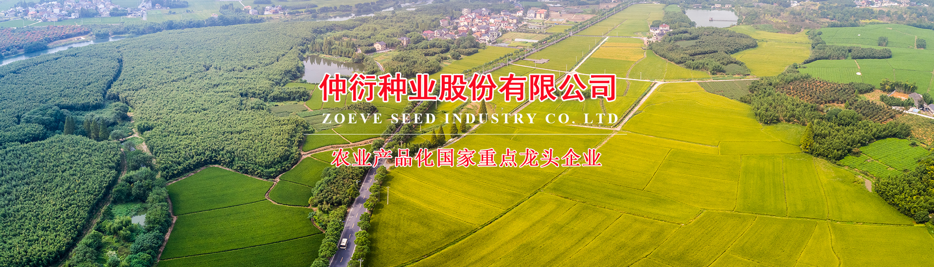 这是描述信息 这是描述信息