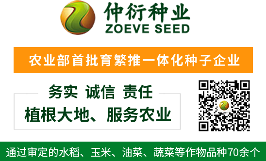 仲衍种业 仲衍种业