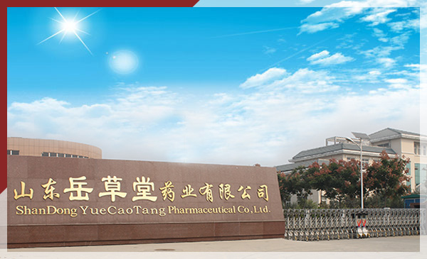 岳草堂 岳草堂