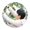 绿缘农业 绿缘农业