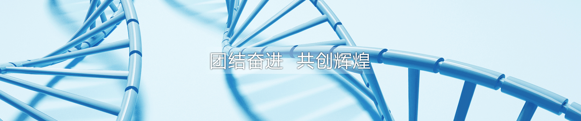 石家莊華旭藥業有限責任公司 石家莊華旭藥業有限責任公司