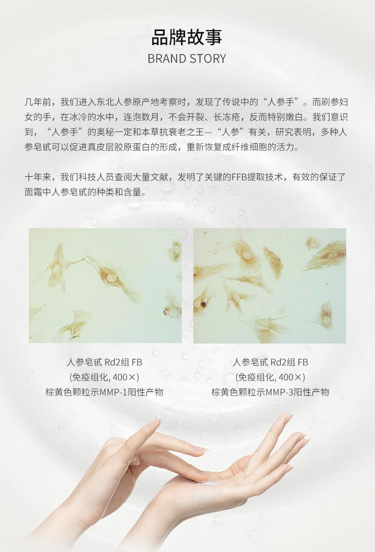 关于我们 关于我们