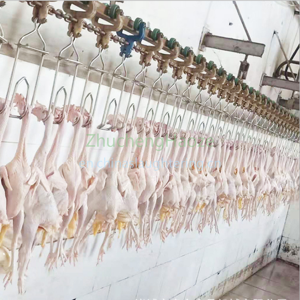 500BPH chicken slaughtering line 500BPH chicken slaughtering line