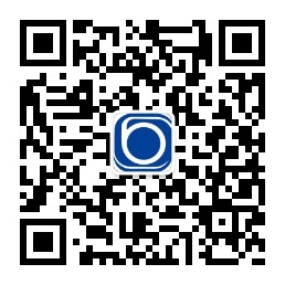 WEBSITE WEBSITE