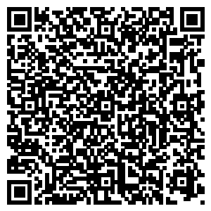 WEBSITE WEBSITE
