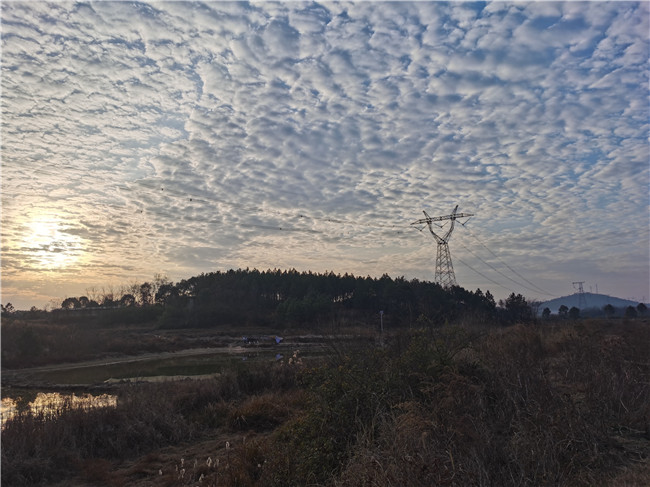 冬日暖阳催人进,莽山密林正前行 —永州—邵阳输气管道工程项目EPC总承包一标段项目线路踏勘纪实