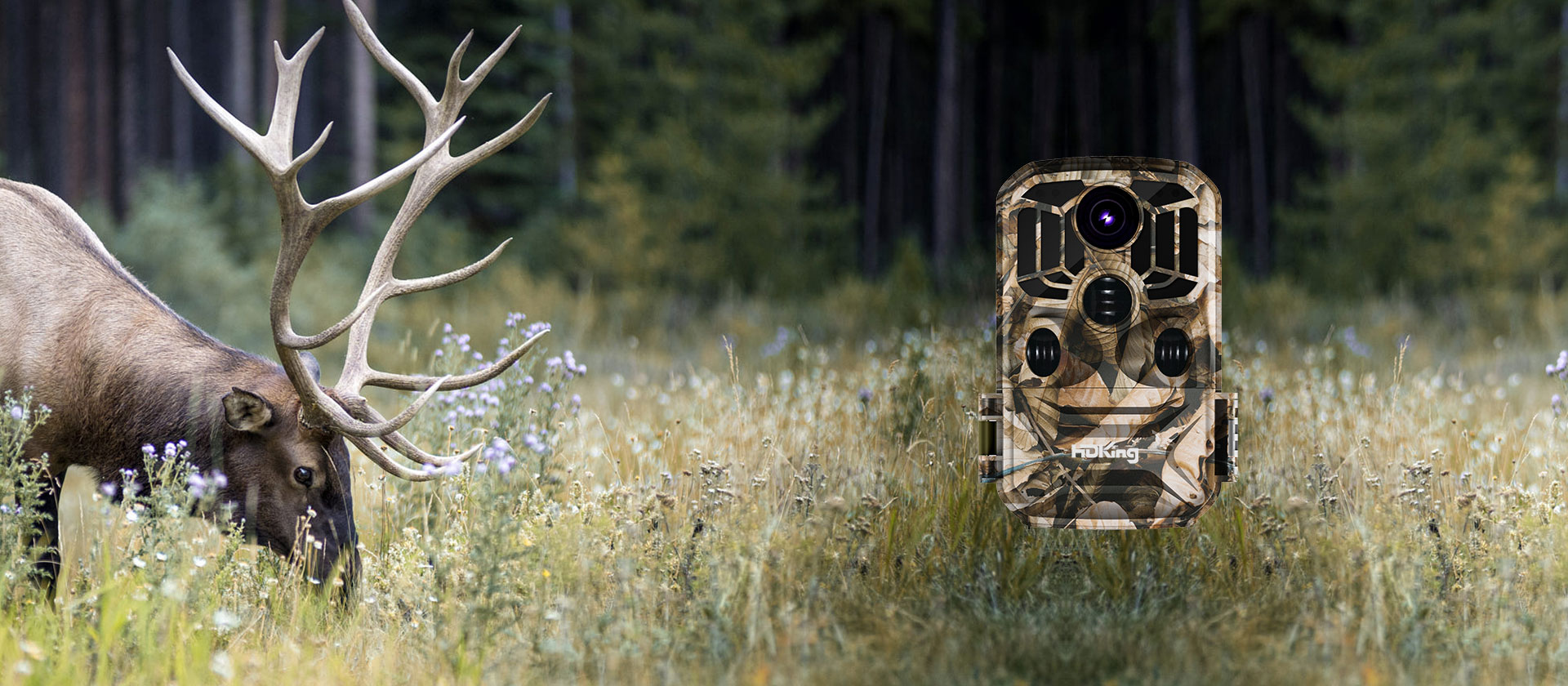 Hunting camera<br> NDL-601