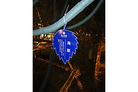 导视系统 导视系统