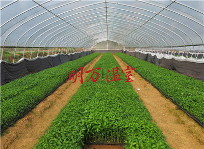 企业介绍 企业介绍
