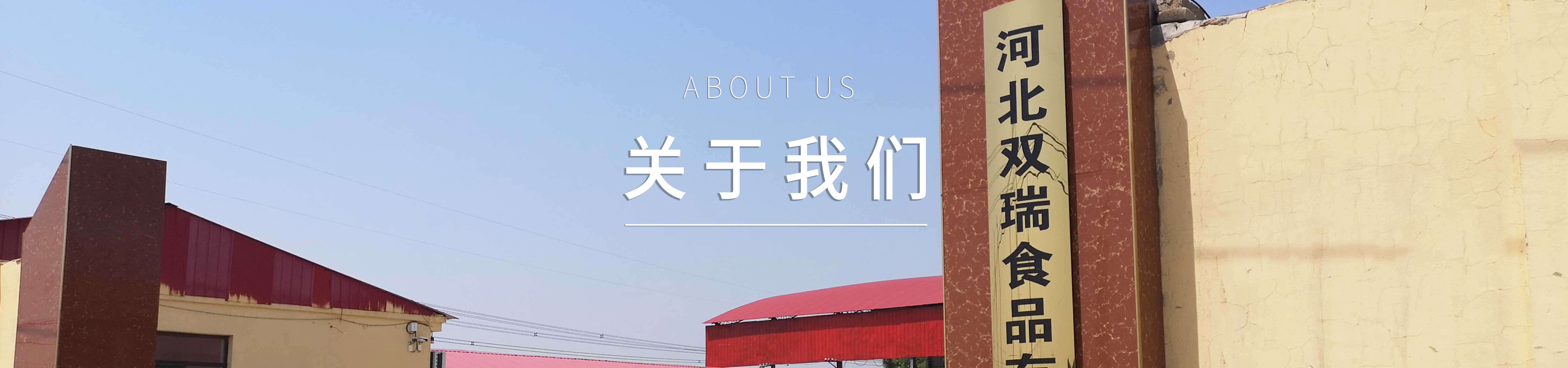 關于我們 關于我們