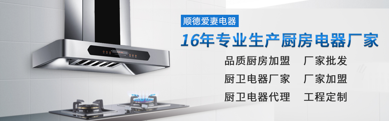 16年专业生产厨房电器厂家