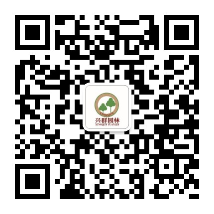 公众号二维码 公众号二↘维码