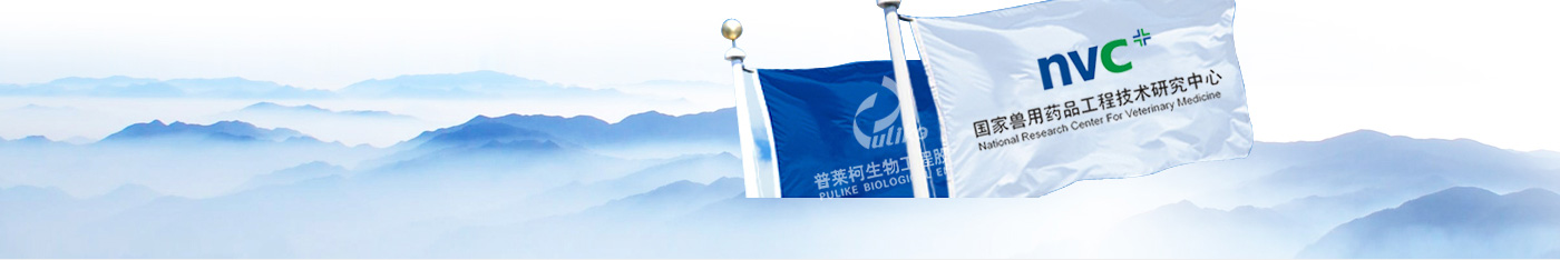 关于 关于