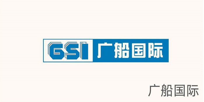 GSI GSI
