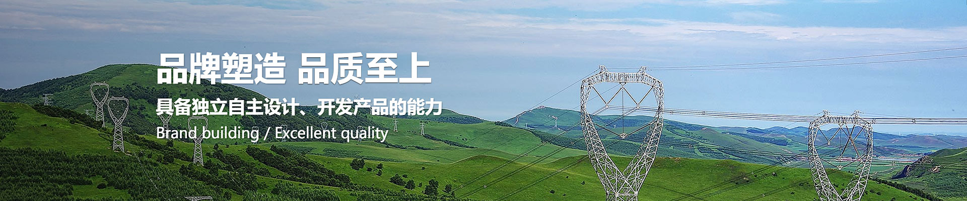 卓越品质
