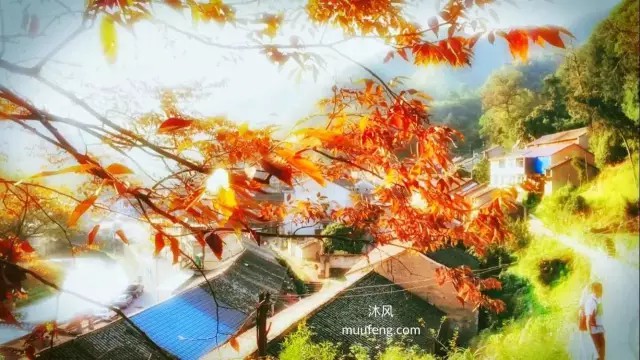 醉美秋景栖霞坑试炼 醉美秋景栖霞坑试炼