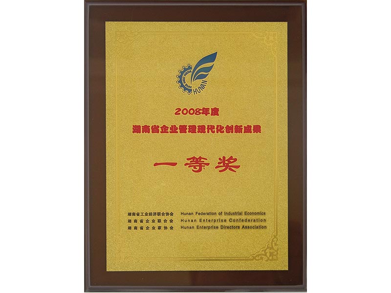 2008年湖南省企業管理現代化創新成果一等獎