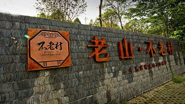 社会责任 社会责任