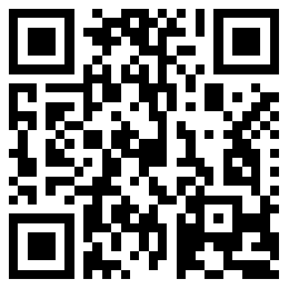 WEBSITE WEBSITE