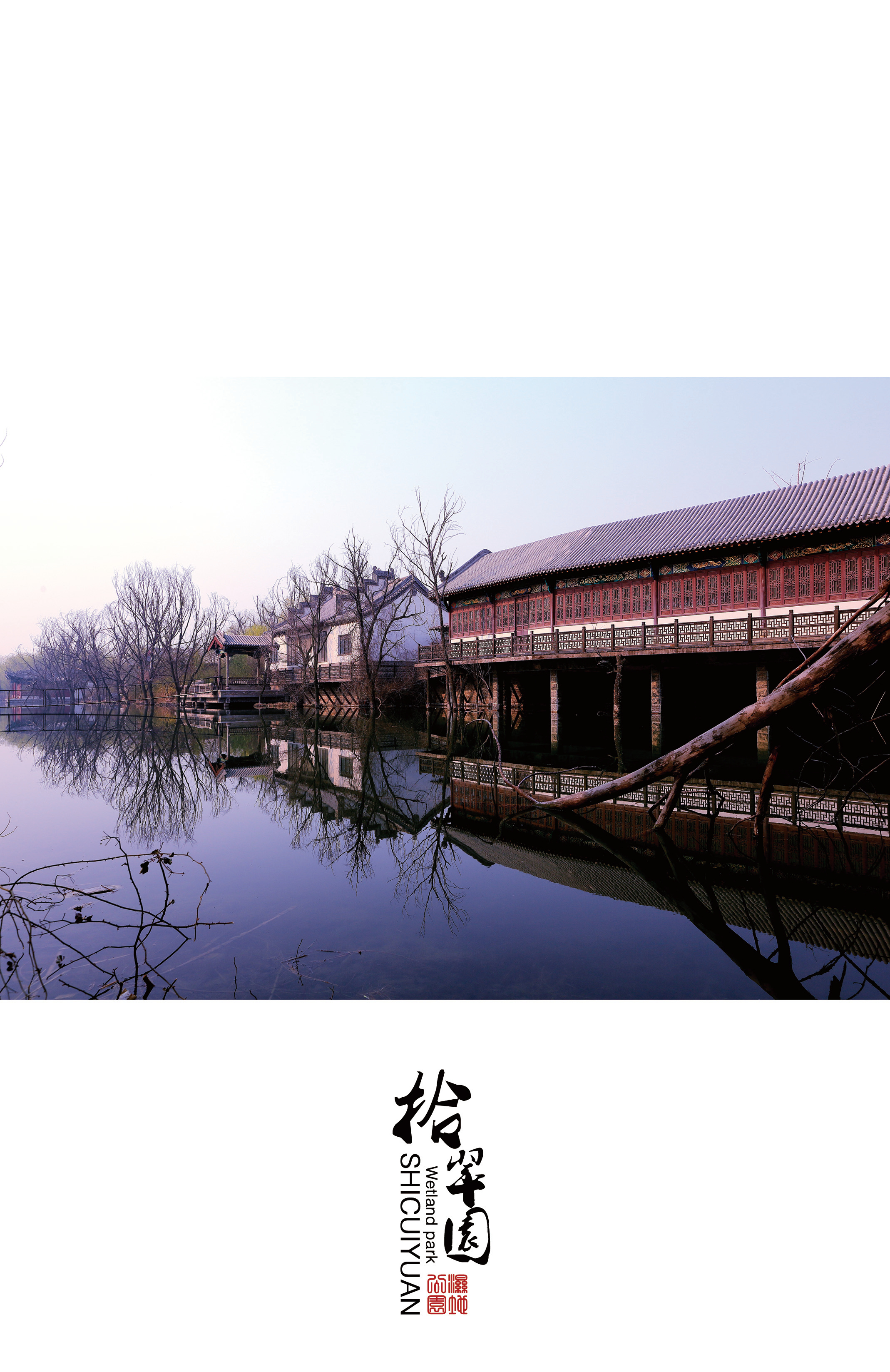 白浪綠洲濕地風景圖冊 白浪綠洲濕地風景圖冊