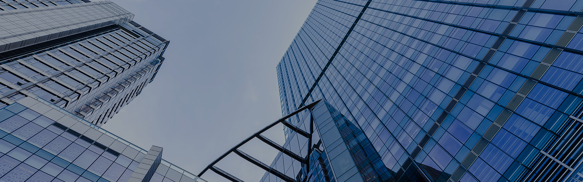 Company profile