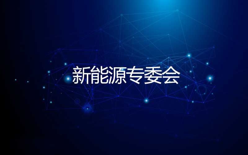 新能源专委会 新能源专委会