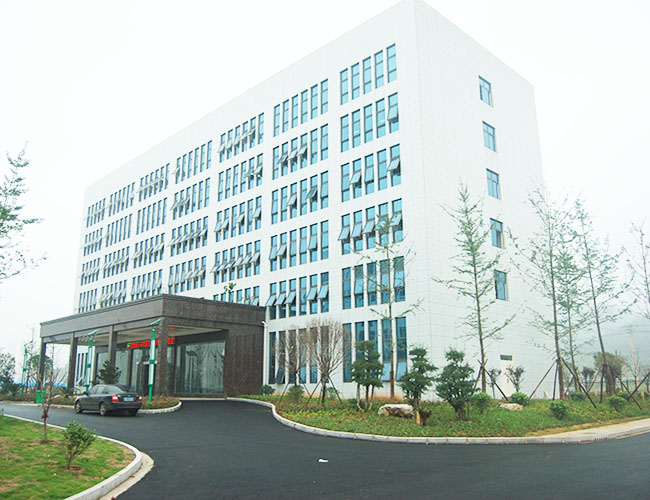 实力展示 实力展示