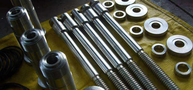 Structural Features and Technical Parameters of Bio-Oil Stem Structural Features and Technical Parameters of Bio-Oil Stem