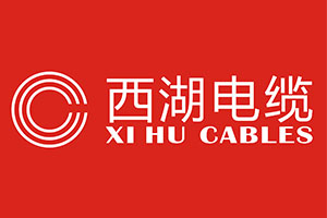 热烈祝贺“九游会官方下载安卓
电缆”荣获中国驰名商标