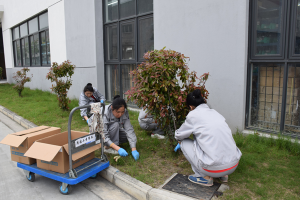 "Welcome may day, labor beauty" weeding activity "Welcome may day, labor beauty" weeding activity
