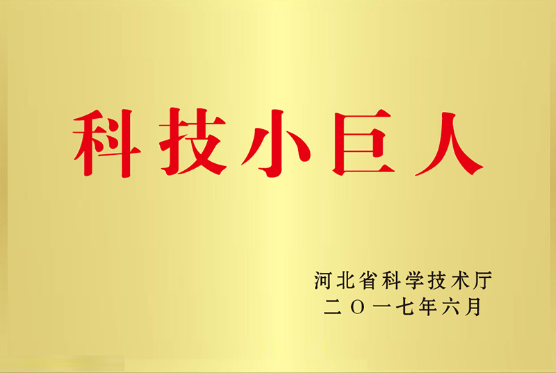 科技小巨人 科技小巨人
