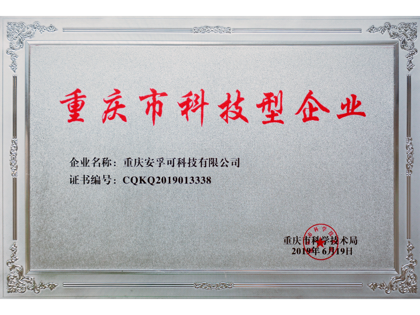 重庆市科技型企业 重庆市科技型企业