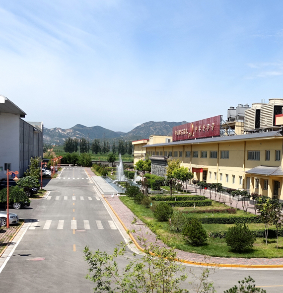金凤禽肉制品加工基地 金凤禽肉制品加工基地