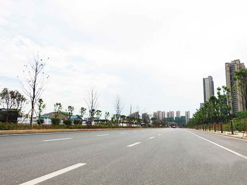 湖南省长沙市刘家冲路(时代阳光大道-黑梨路)道路工程